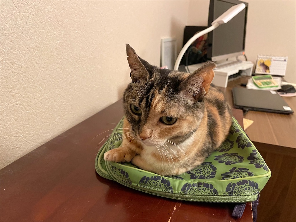 f:id:hiraryo0201:20210316180504j:image f:id:hiraryo0201:20210316180504j:image