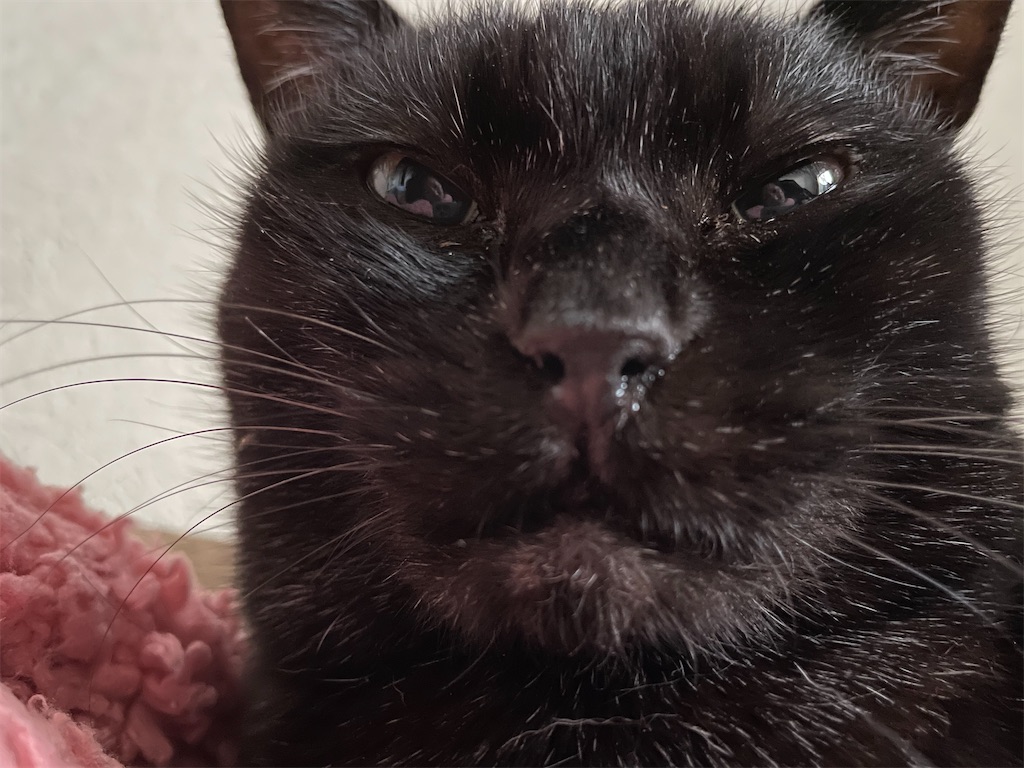 f:id:hiraryo0201:20210320223743j:image f:id:hiraryo0201:20210320223743j:image