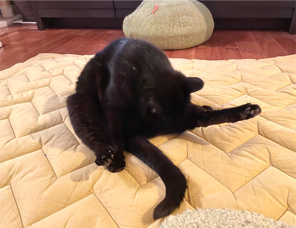 f:id:hiraryo0201:20210320223751j:image f:id:hiraryo0201:20210320223751j:image