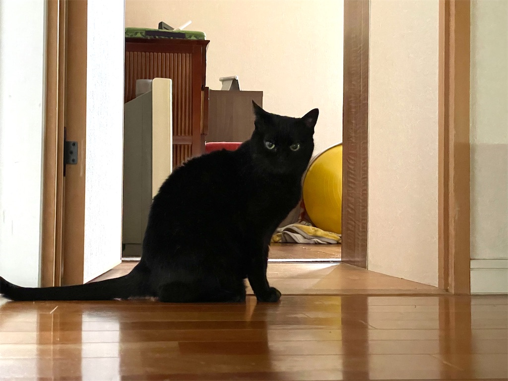 f:id:hiraryo0201:20210320223758j:image f:id:hiraryo0201:20210320223758j:image