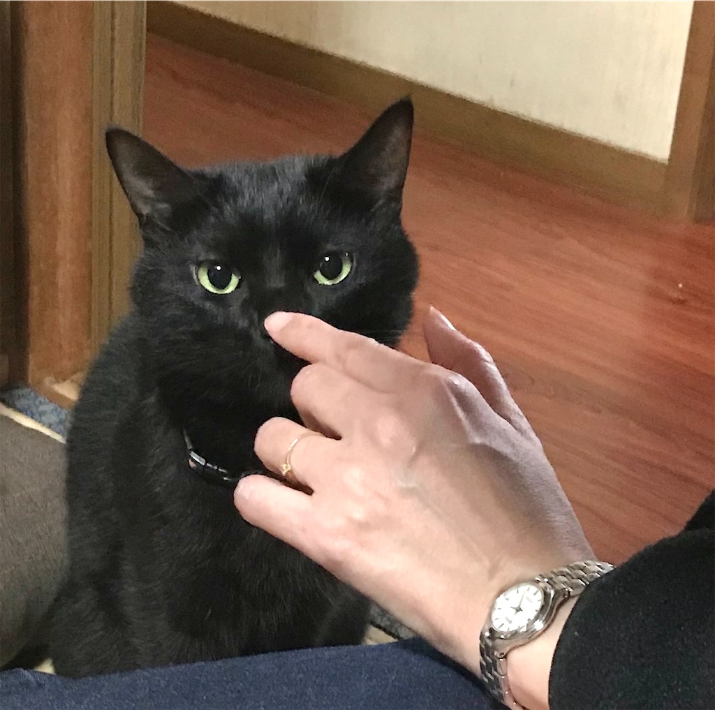 f:id:hiraryo0201:20210321075625j:image f:id:hiraryo0201:20210321075625j:image