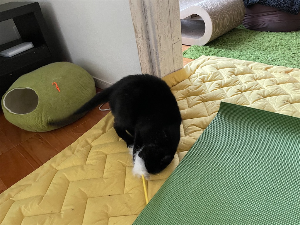 f:id:hiraryo0201:20210321110515j:image f:id:hiraryo0201:20210321110515j:image