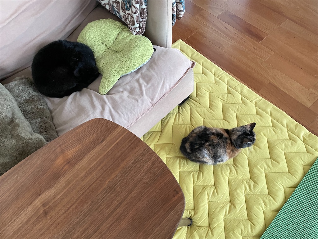 f:id:hiraryo0201:20210321110520j:image f:id:hiraryo0201:20210321110520j:image