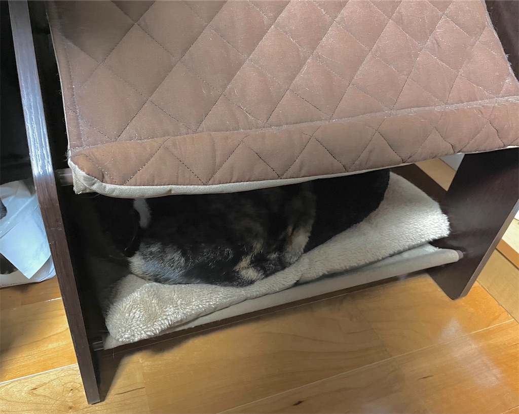 f:id:hiraryo0201:20210324195622j:image f:id:hiraryo0201:20210324195622j:image