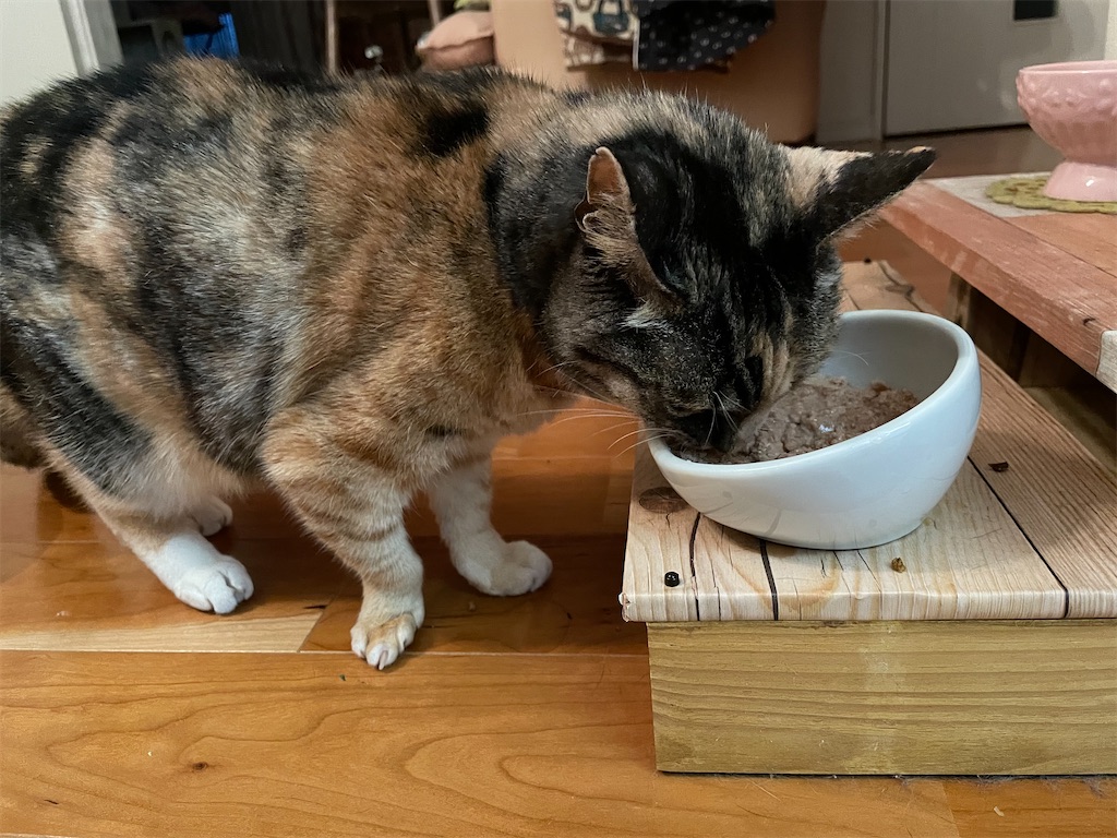 f:id:hiraryo0201:20210324200206j:image f:id:hiraryo0201:20210324200206j:image