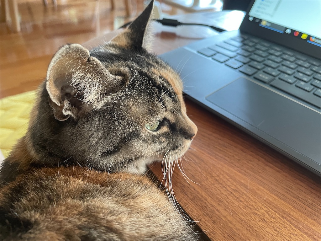 f:id:hiraryo0201:20210324200343j:plain