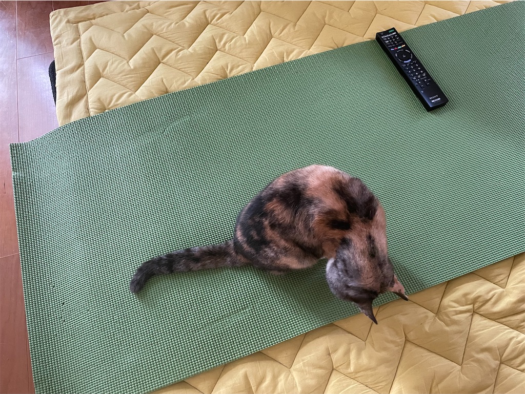 f:id:hiraryo0201:20210324200348j:plain