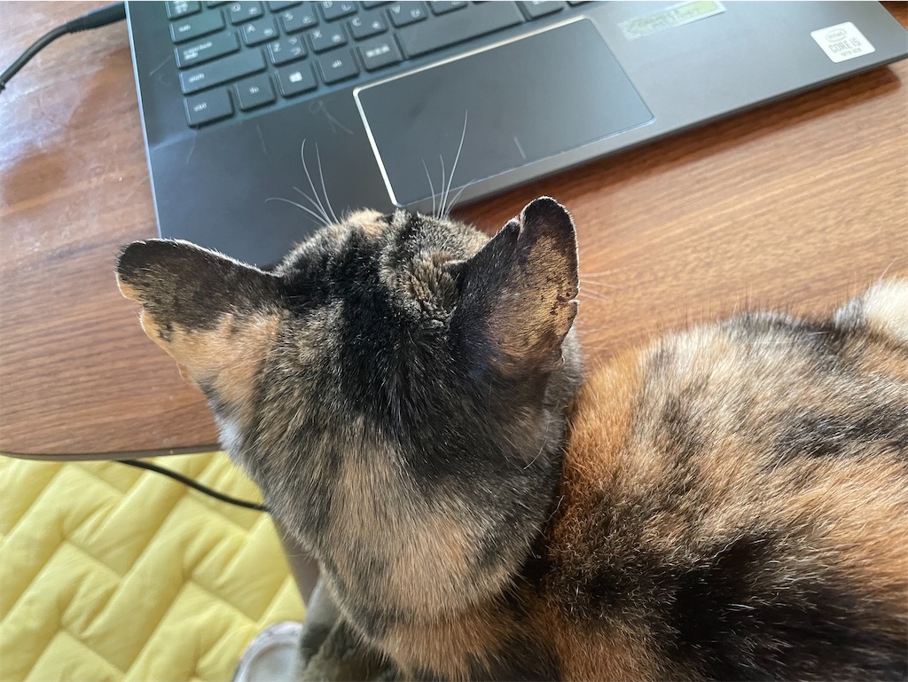 f:id:hiraryo0201:20210324200359j:plain