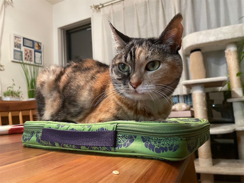 f:id:hiraryo0201:20210324200504j:plain