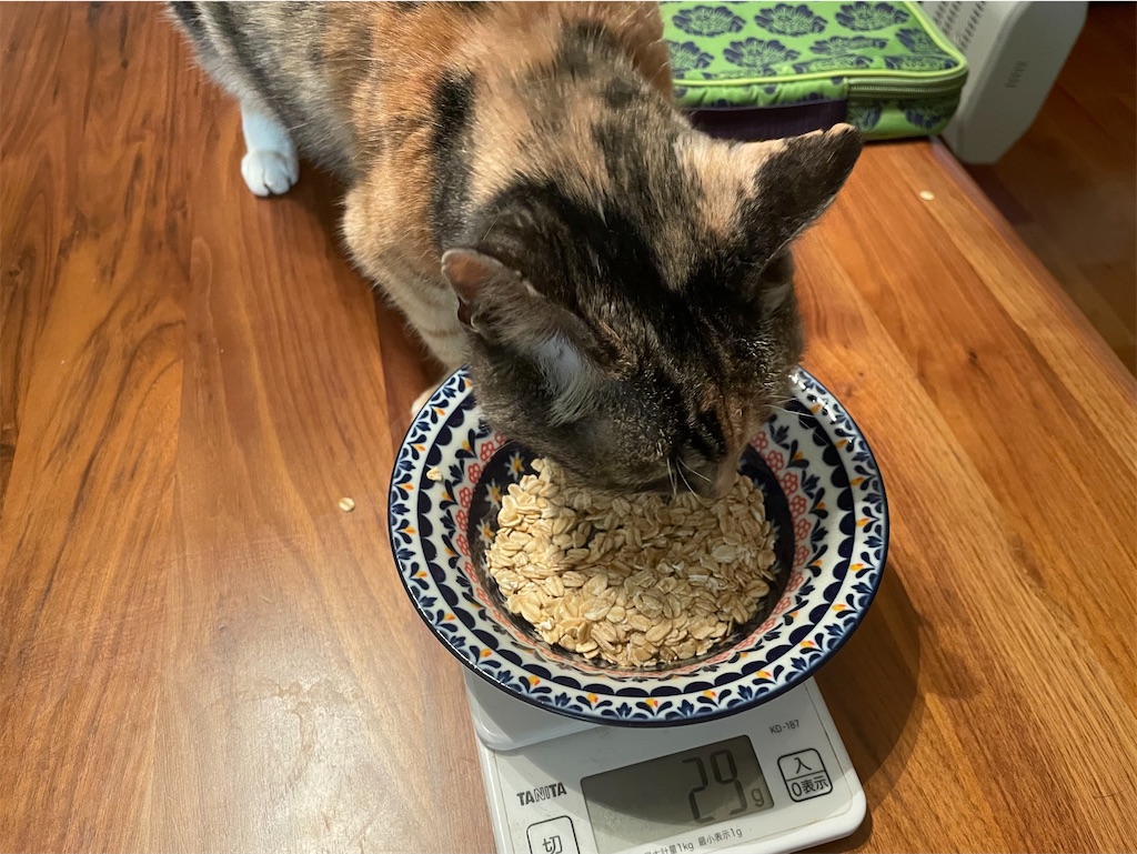 f:id:hiraryo0201:20210324200507j:plain