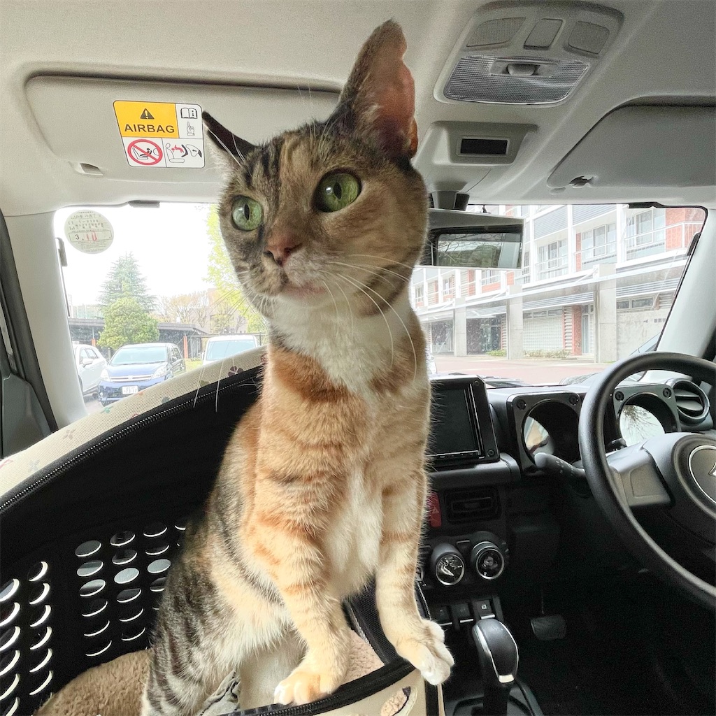 f:id:hiraryo0201:20210325191425j:image f:id:hiraryo0201:20210325191425j:image