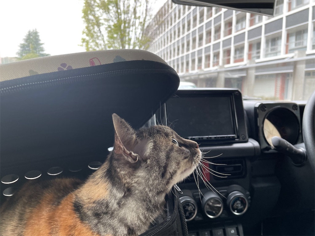 f:id:hiraryo0201:20210326071550j:image f:id:hiraryo0201:20210326071550j:image