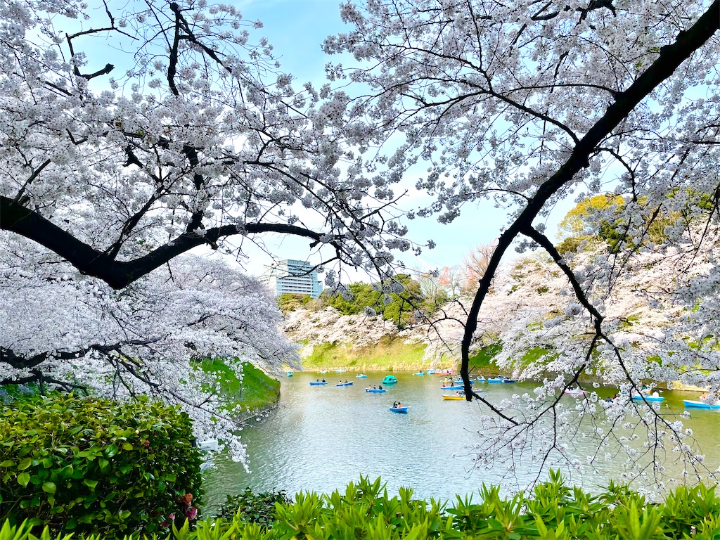 f:id:hiraryo0201:20210328152048j:image