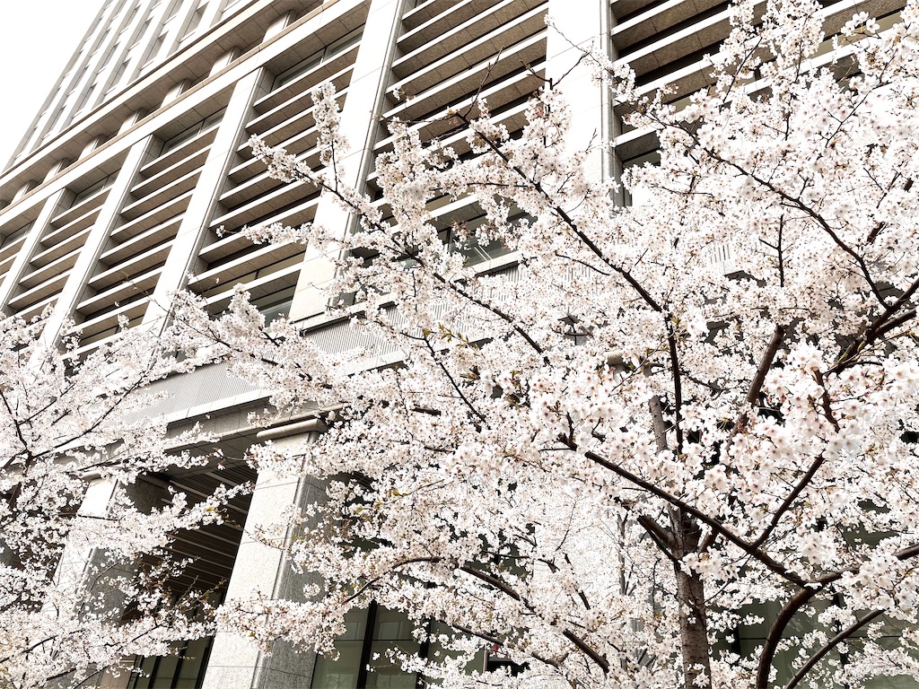 f:id:hiraryo0201:20210328152310j:image