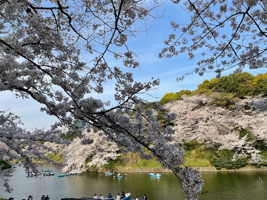 f:id:hiraryo0201:20210328152448j:image