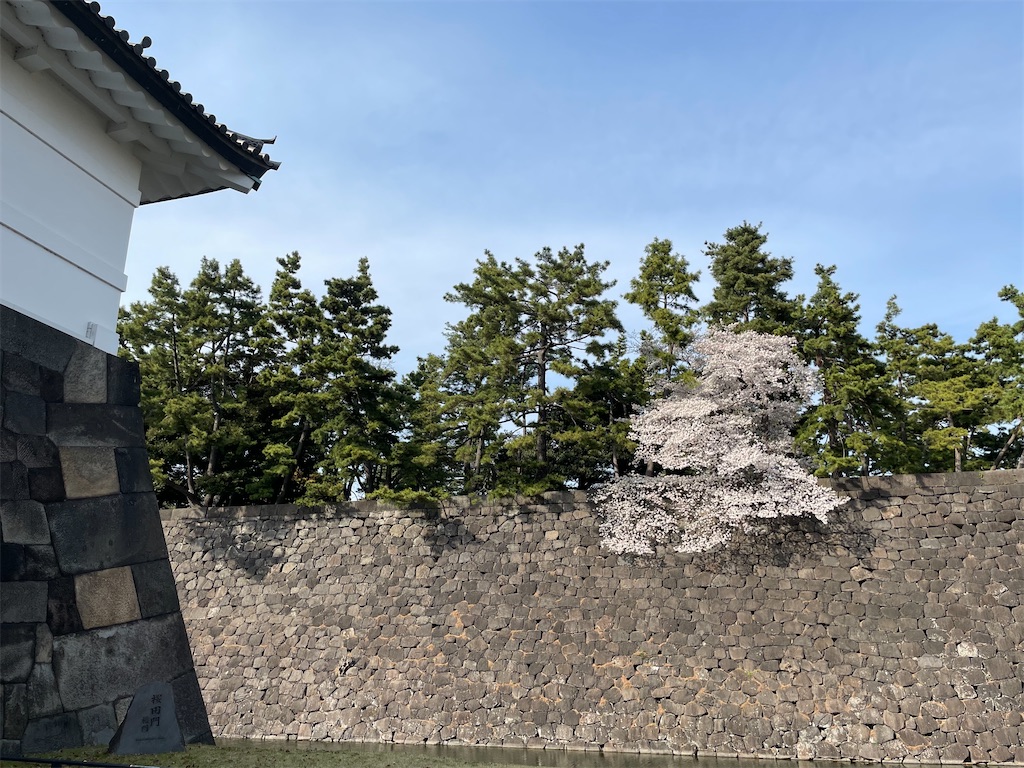 f:id:hiraryo0201:20210328152451j:image