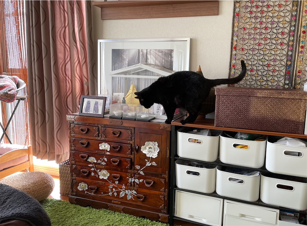 f:id:hiraryo0201:20210408072040j:image