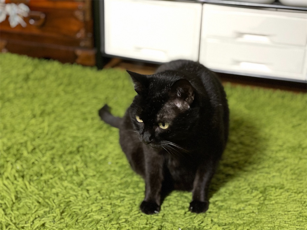 f:id:hiraryo0201:20210408072044j:image