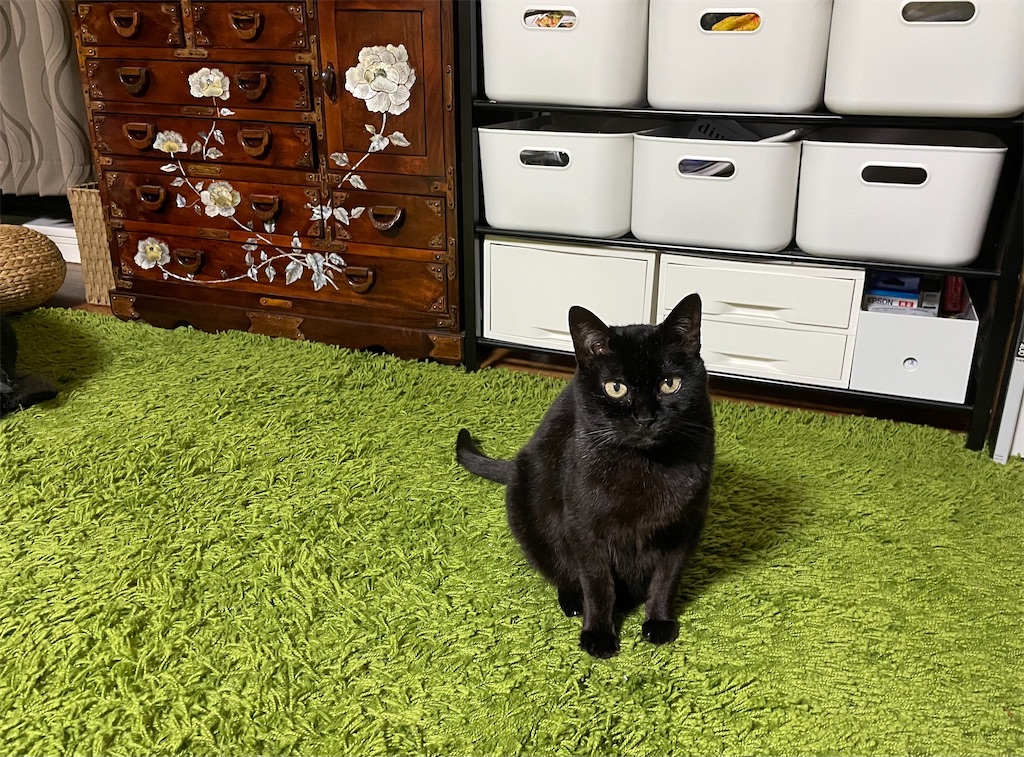 f:id:hiraryo0201:20210408072047j:image