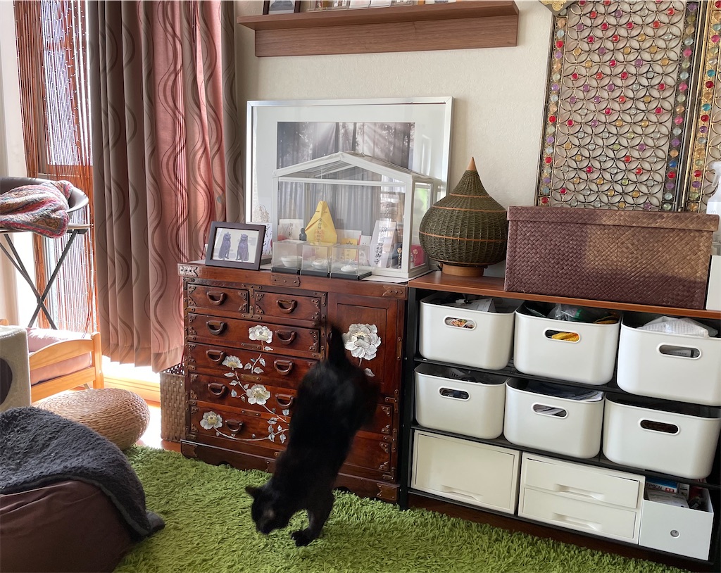 f:id:hiraryo0201:20210408072050j:image