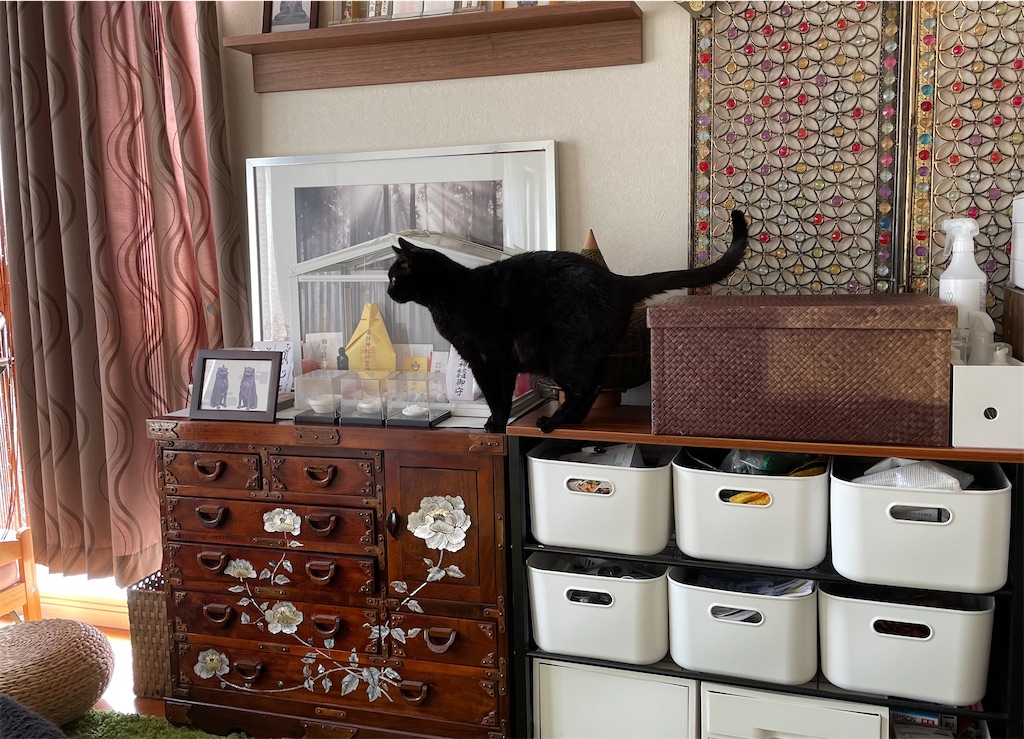 f:id:hiraryo0201:20210408072057j:image