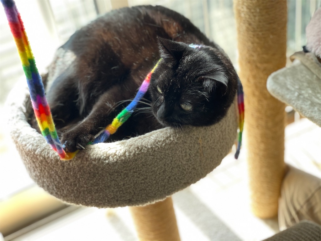 f:id:hiraryo0201:20210408072100j:image