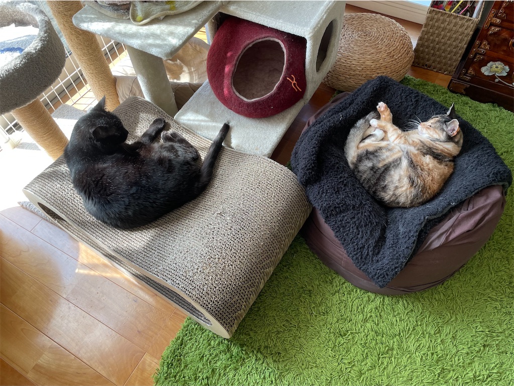 f:id:hiraryo0201:20210410064826j:image