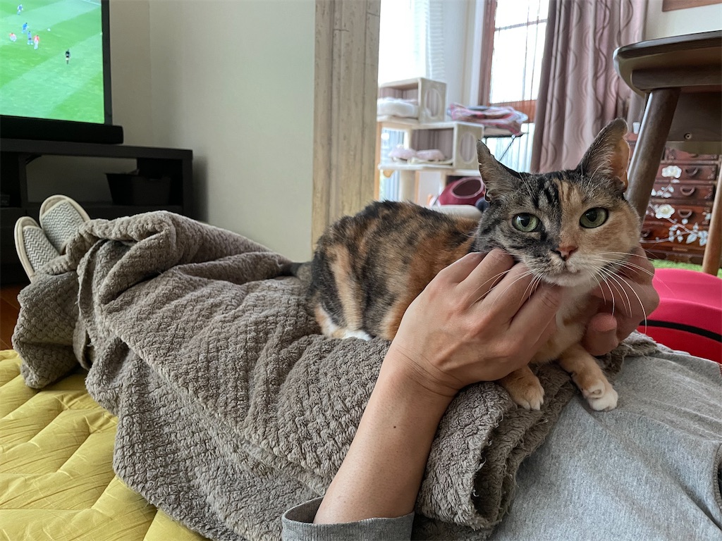 f:id:hiraryo0201:20210417194341j:image f:id:hiraryo0201:20210417194341j:image