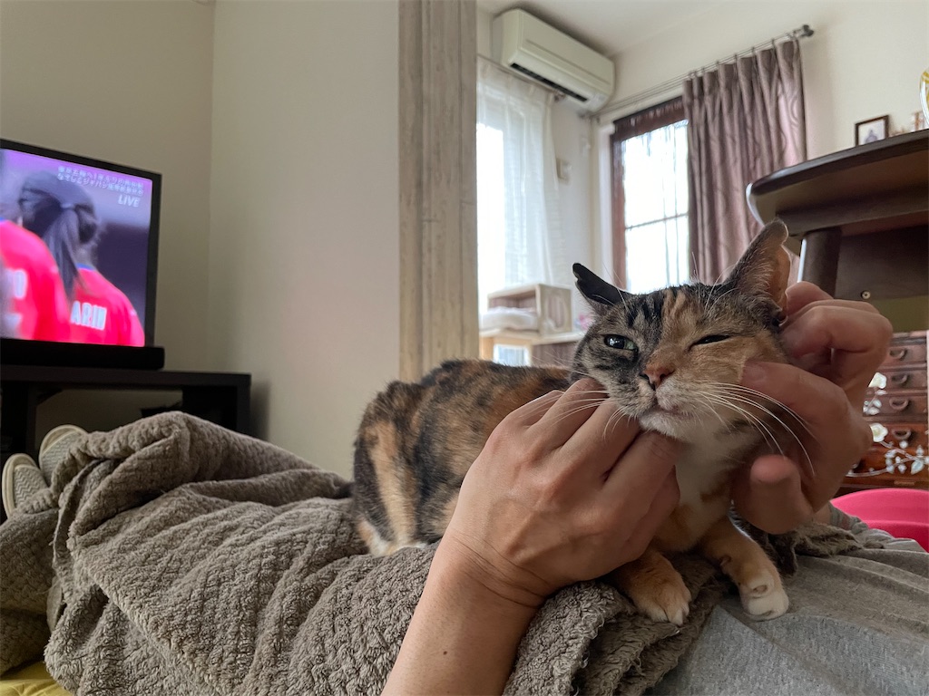 f:id:hiraryo0201:20210417194401j:image f:id:hiraryo0201:20210417194401j:image