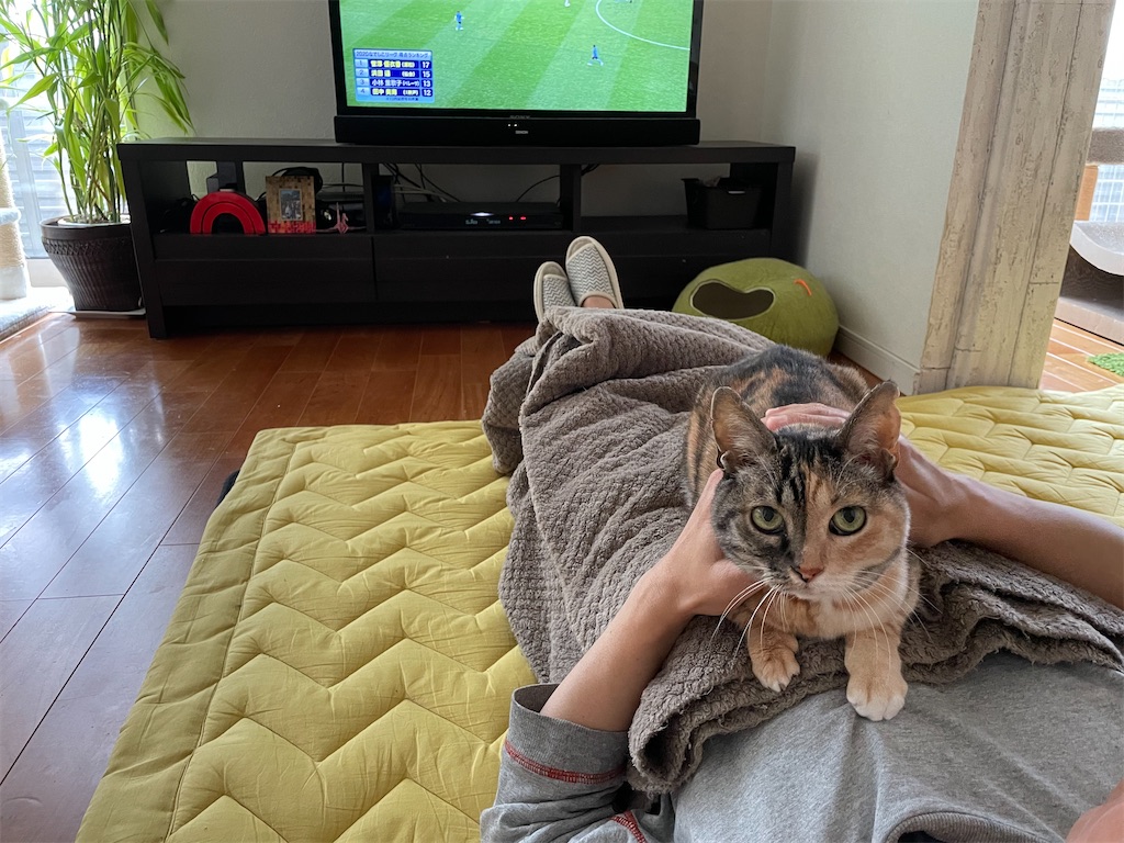 f:id:hiraryo0201:20210417194417j:image f:id:hiraryo0201:20210417194417j:image