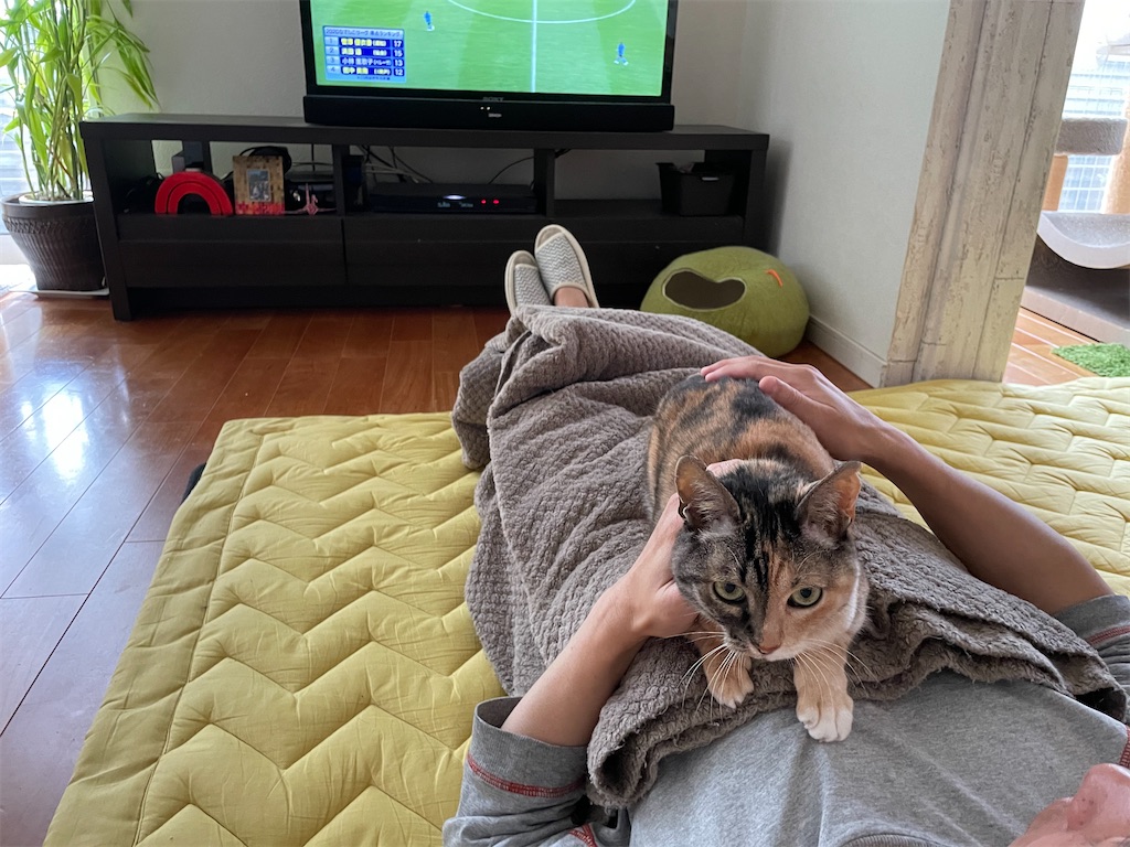 f:id:hiraryo0201:20210417194512j:image f:id:hiraryo0201:20210417194512j:image