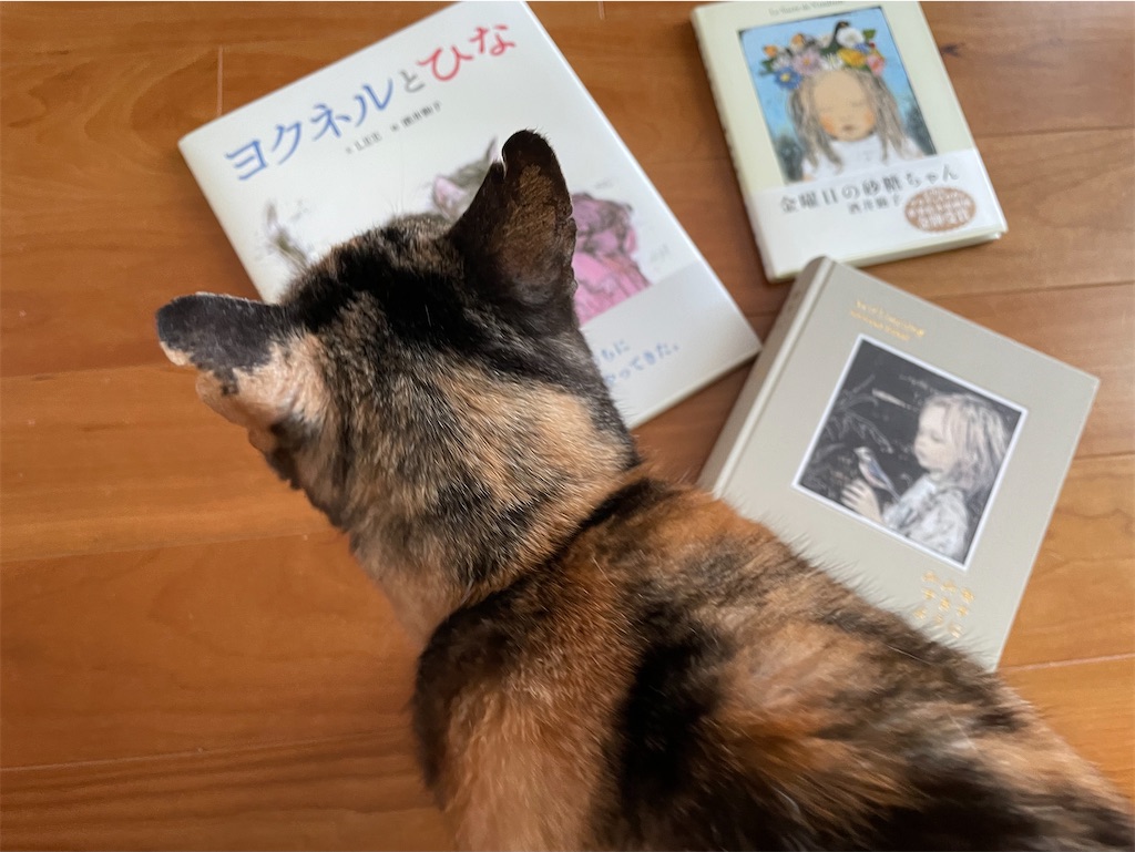 f:id:hiraryo0201:20210418101227j:image f:id:hiraryo0201:20210418101227j:image