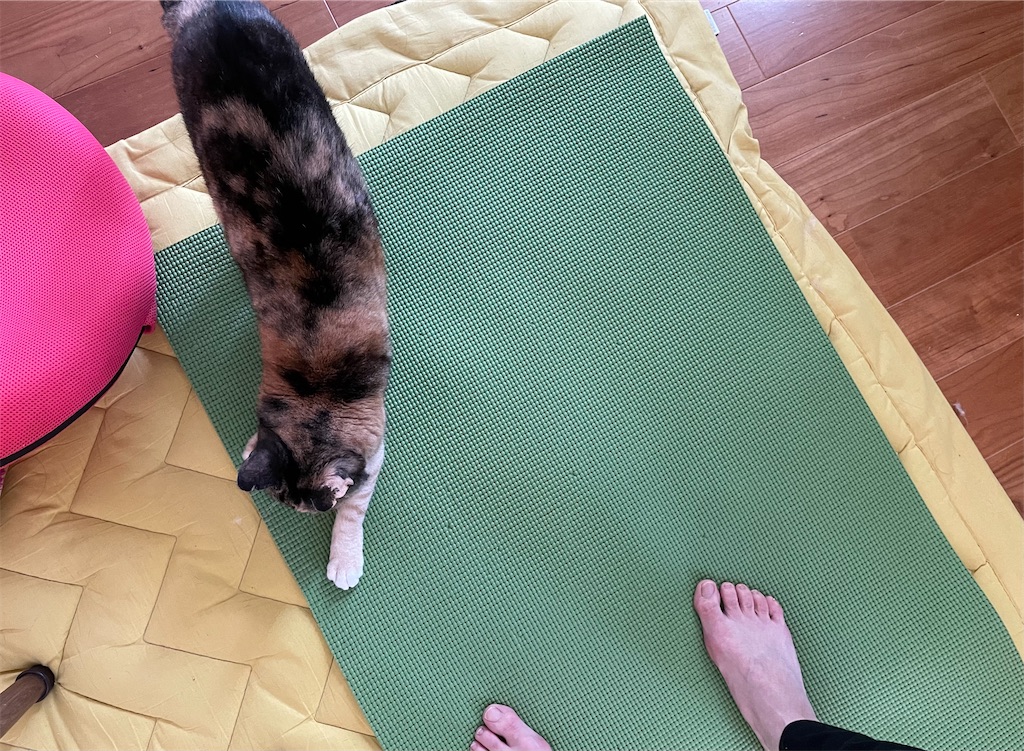 f:id:hiraryo0201:20210418101233j:image f:id:hiraryo0201:20210418101233j:image