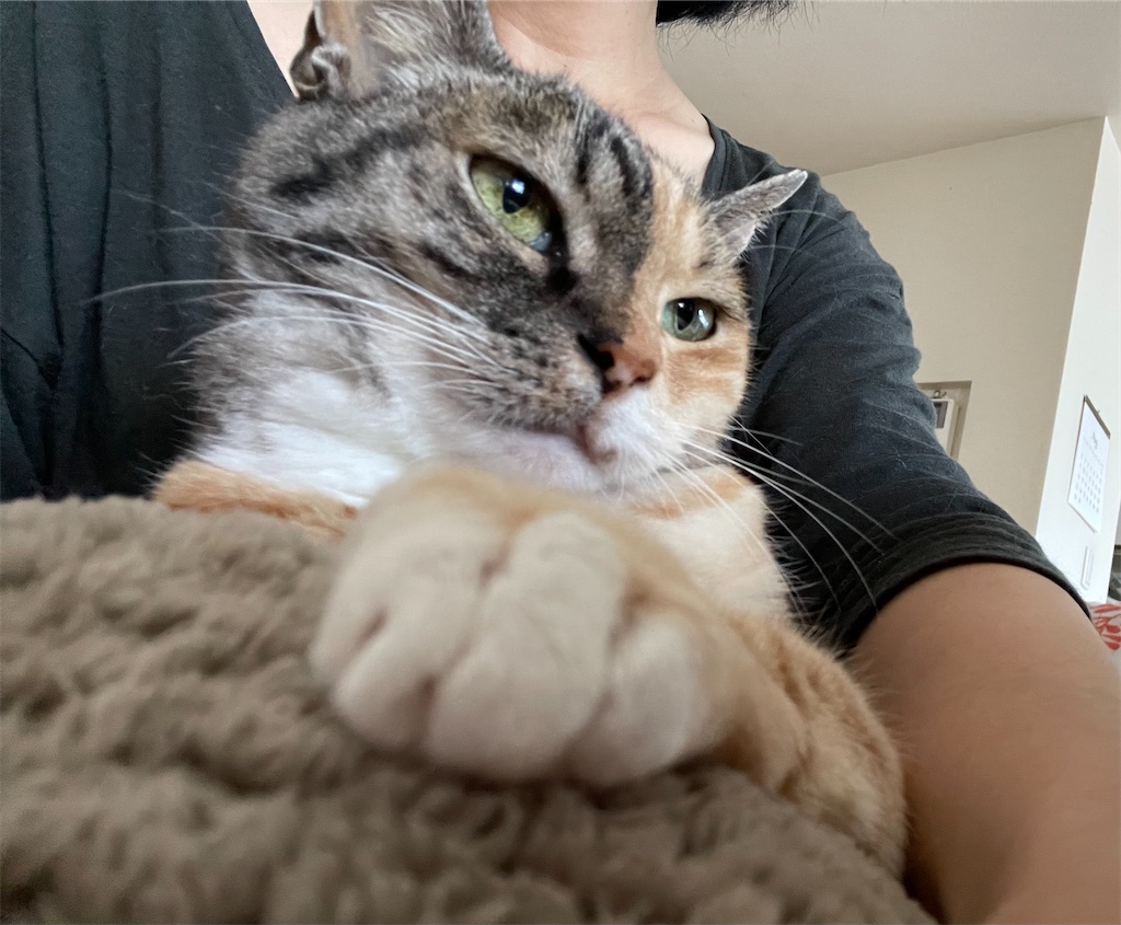 f:id:hiraryo0201:20210502164933j:image f:id:hiraryo0201:20210502164933j:image