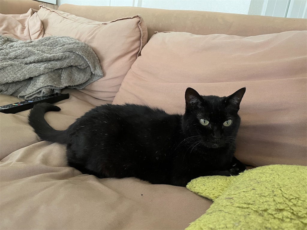 f:id:hiraryo0201:20210502164948j:image f:id:hiraryo0201:20210502164948j:image