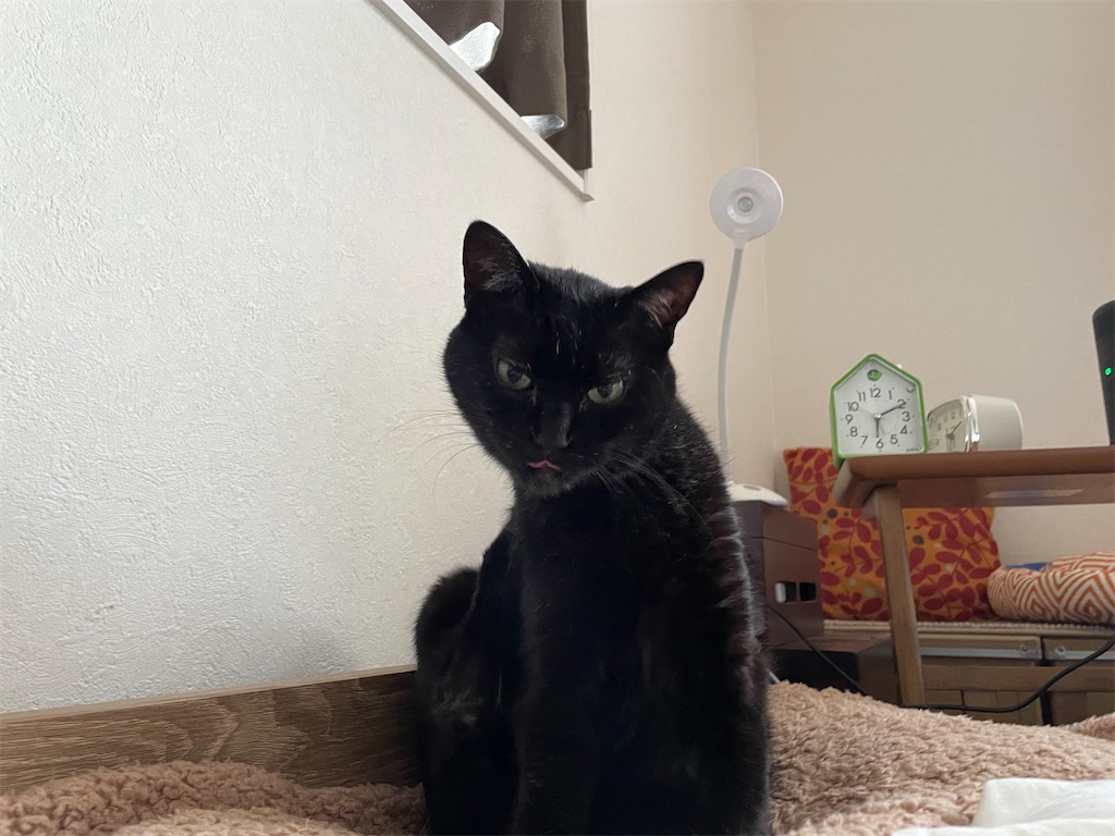 f:id:hiraryo0201:20210509124533j:image f:id:hiraryo0201:20210509124533j:image