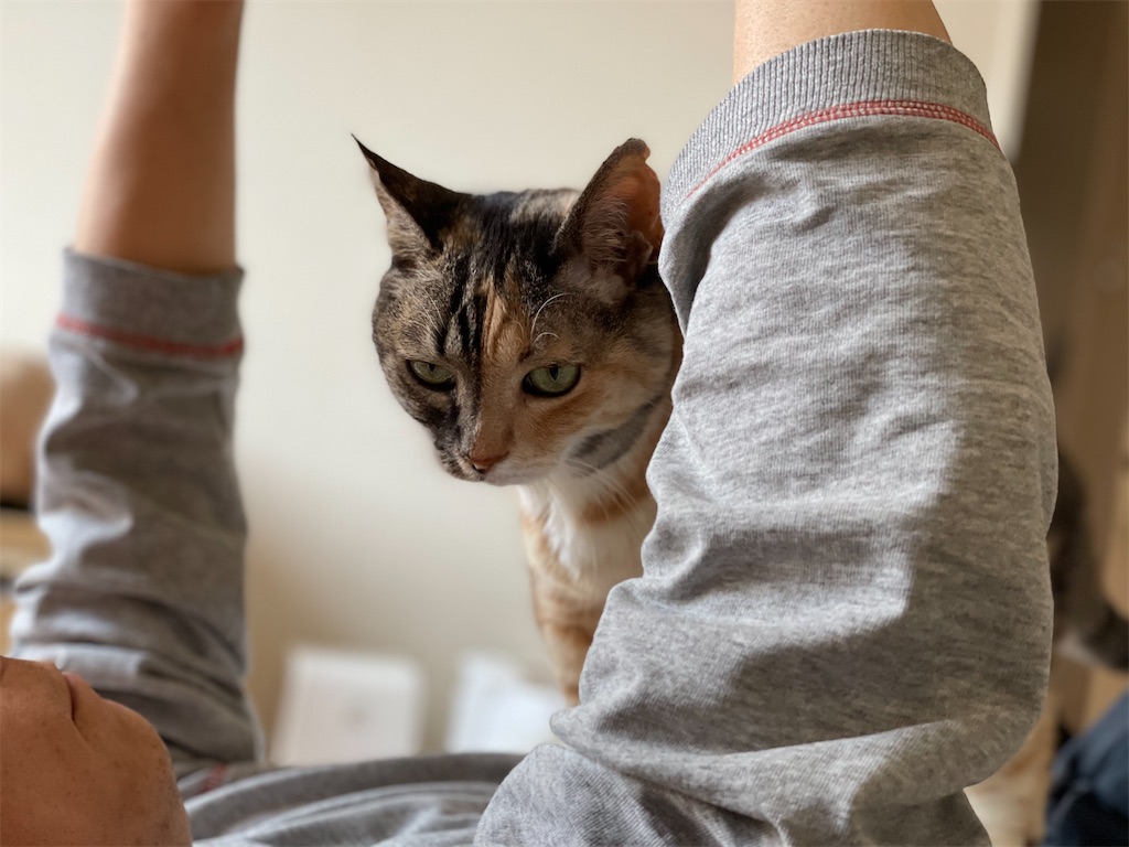 f:id:hiraryo0201:20210509124540j:image f:id:hiraryo0201:20210509124540j:image