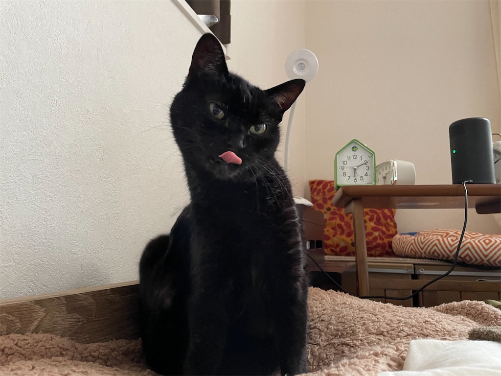 f:id:hiraryo0201:20210509124549j:image f:id:hiraryo0201:20210509124549j:image