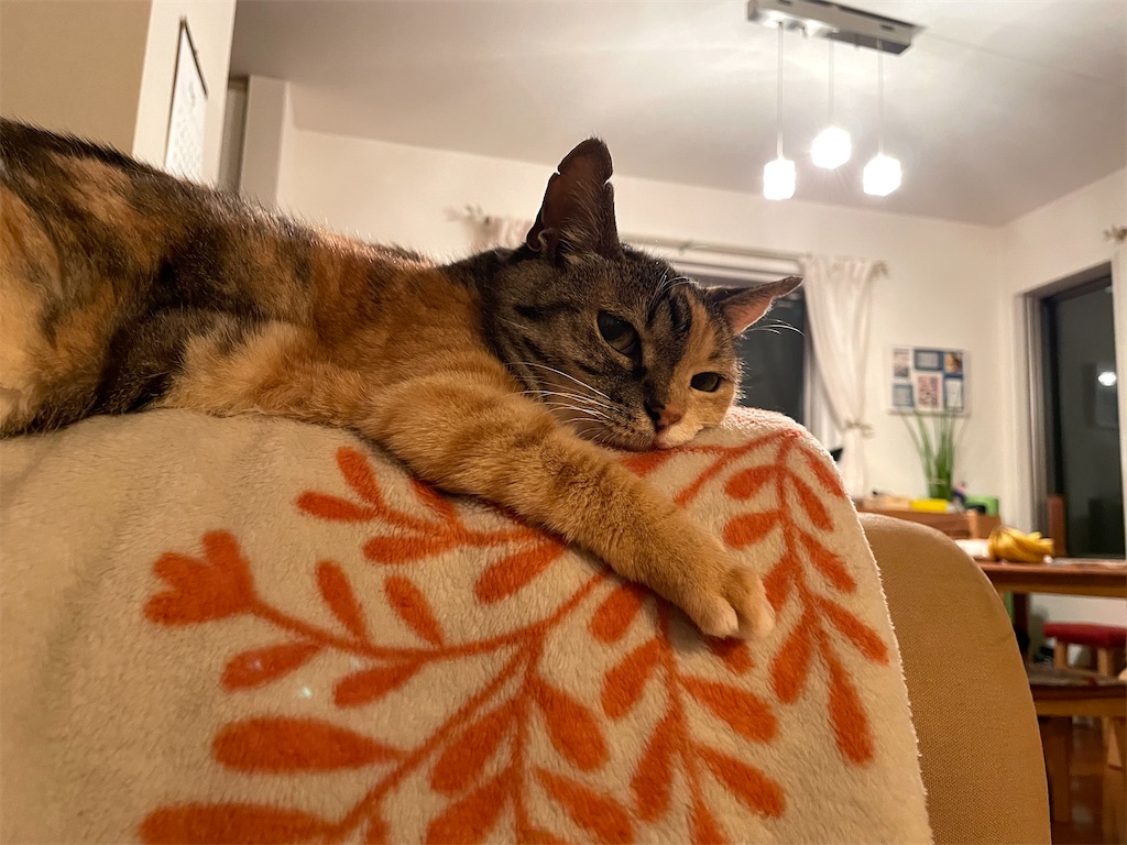 f:id:hiraryo0201:20210524122425j:image f:id:hiraryo0201:20210524122425j:image