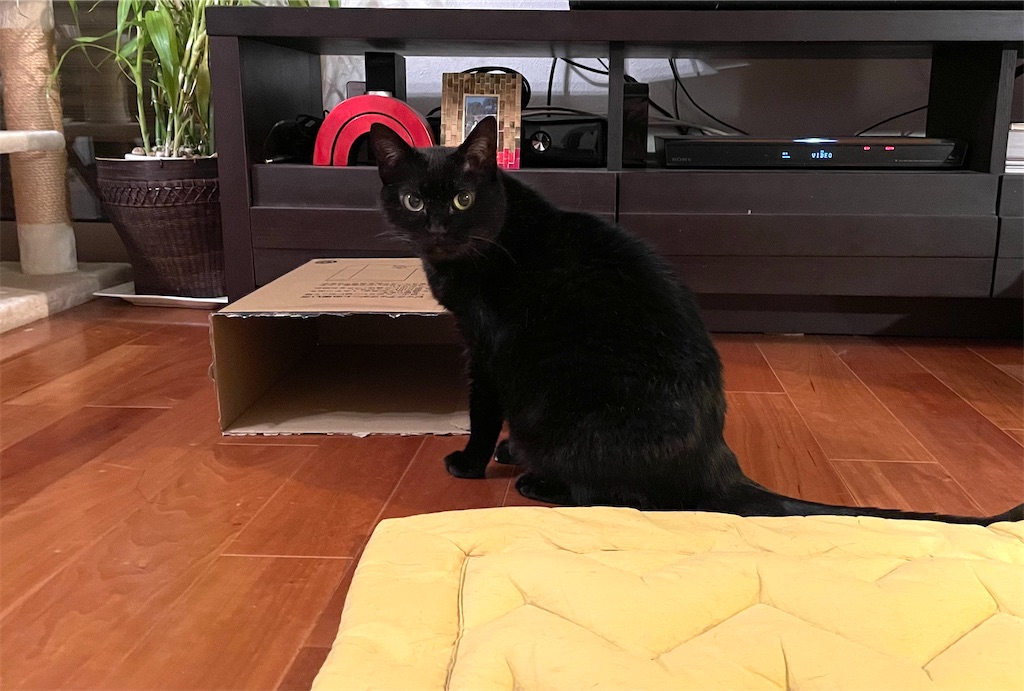 f:id:hiraryo0201:20210603125311j:image f:id:hiraryo0201:20210603125311j:image