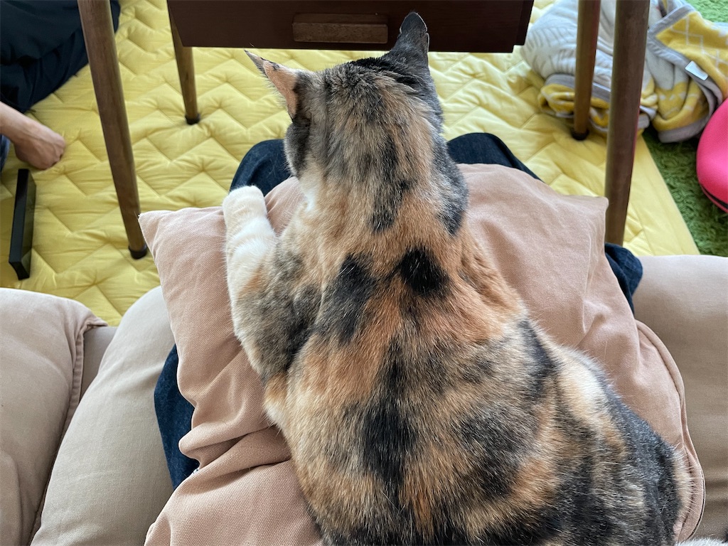 f:id:hiraryo0201:20210612214454j:image f:id:hiraryo0201:20210612214454j:image