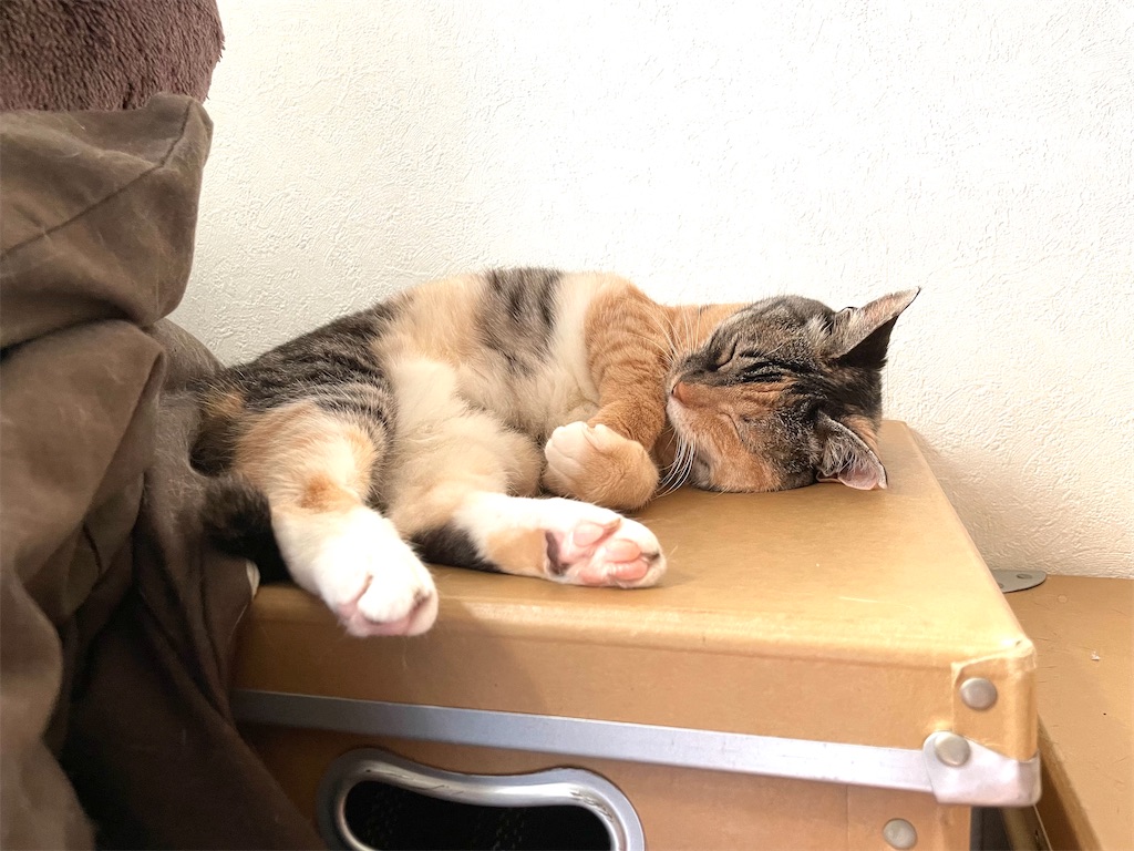 f:id:hiraryo0201:20210612220800j:image