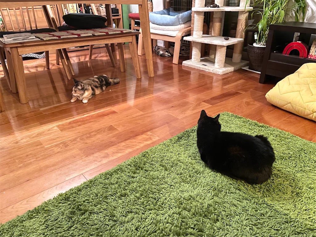 f:id:hiraryo0201:20210614072216j:image f:id:hiraryo0201:20210614072216j:image