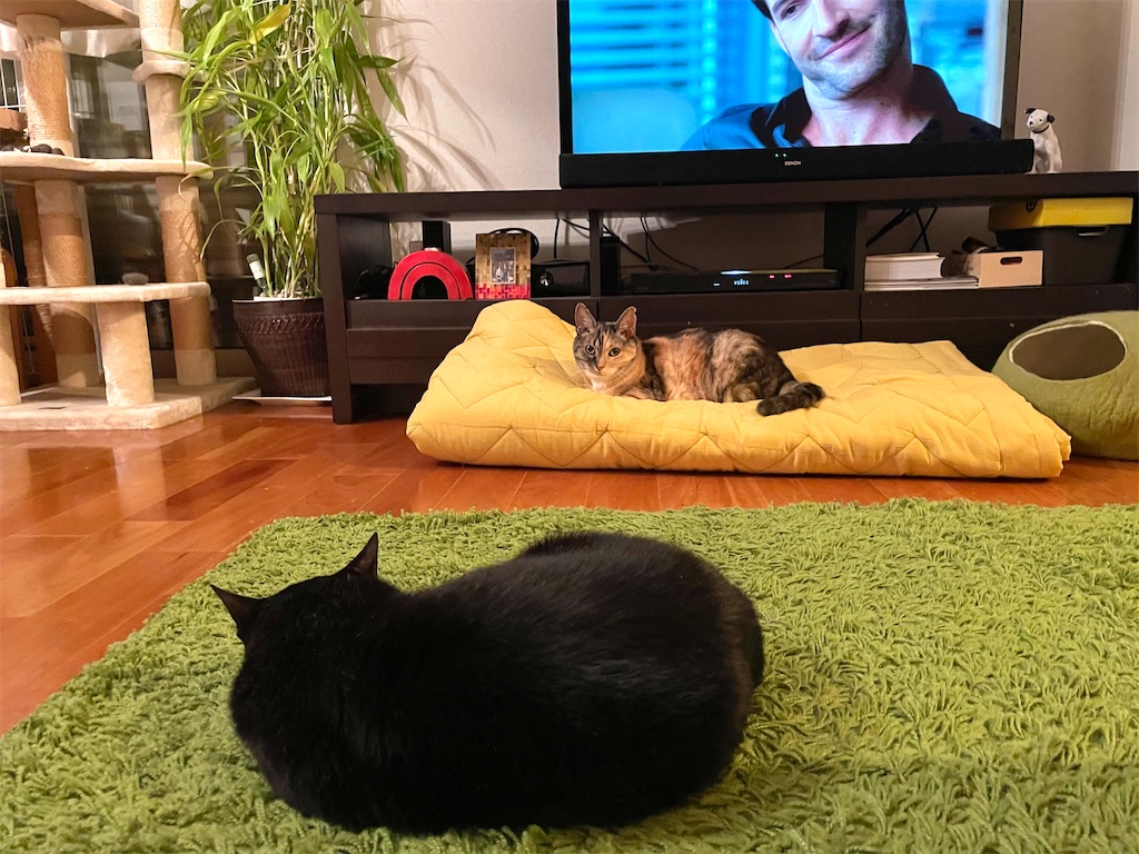 f:id:hiraryo0201:20210614072220j:image f:id:hiraryo0201:20210614072220j:image