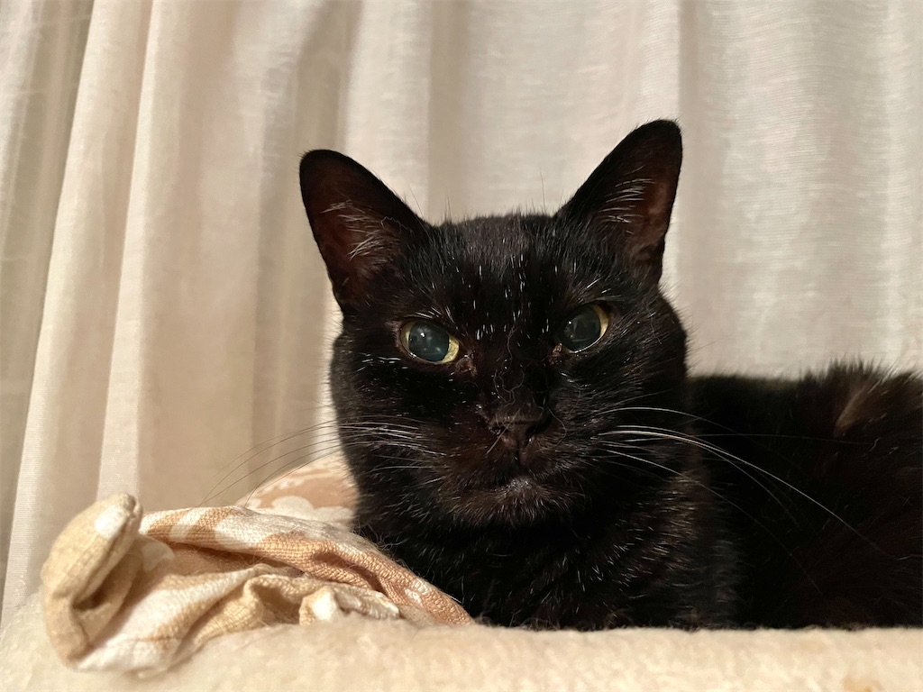 f:id:hiraryo0201:20210614072223j:image f:id:hiraryo0201:20210614072223j:image