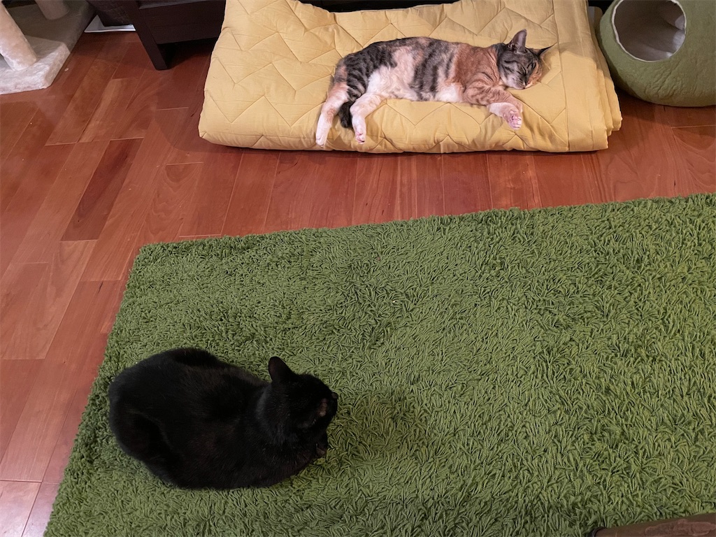 f:id:hiraryo0201:20210614072231j:image f:id:hiraryo0201:20210614072231j:image