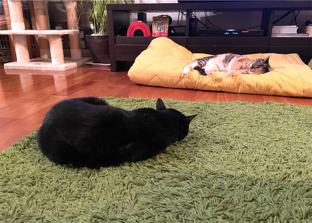 f:id:hiraryo0201:20210614072235j:image f:id:hiraryo0201:20210614072235j:image