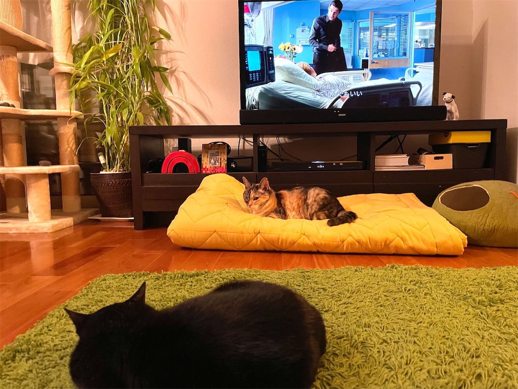 f:id:hiraryo0201:20210614072238j:image f:id:hiraryo0201:20210614072238j:image