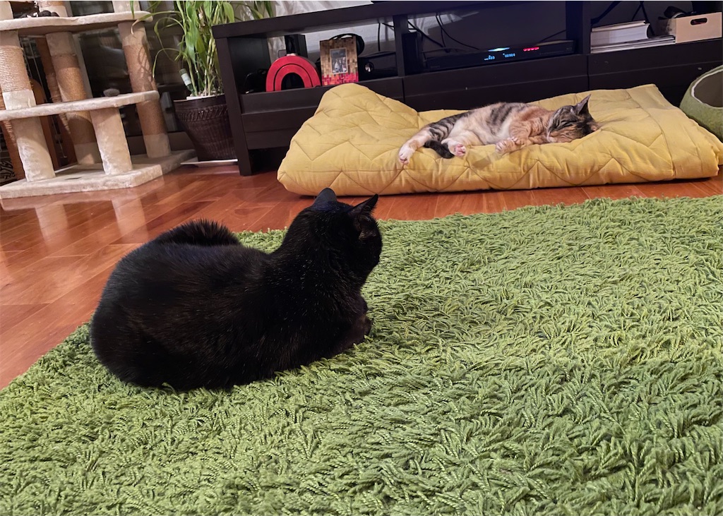 f:id:hiraryo0201:20210614072246j:image f:id:hiraryo0201:20210614072246j:image