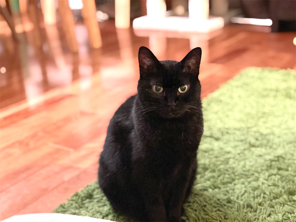 f:id:hiraryo0201:20210614072249j:image f:id:hiraryo0201:20210614072249j:image